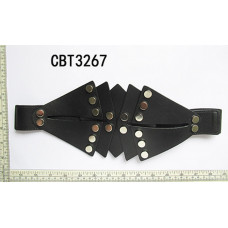 CBT3267.jpg