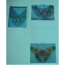 CCA0319-21