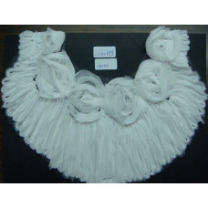 CCA0898