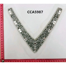 CCA5987