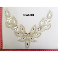 CCA6001
