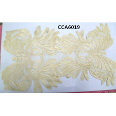 CCA6019