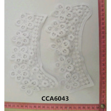 CCA6043