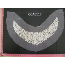 CCA6117