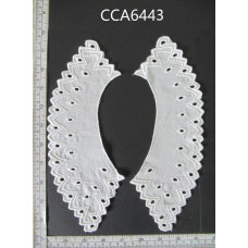 CCA6443