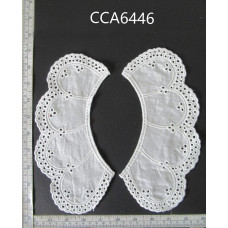 CCA6446