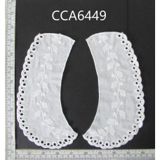 CCA6449