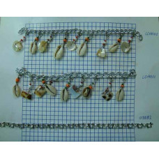 CCH0100-0102