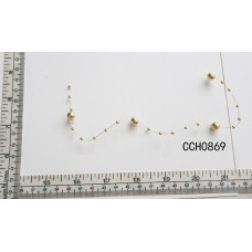 CCH0869.jpg
