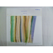 CE2020
