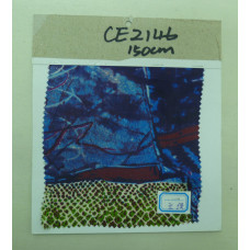 CE2146