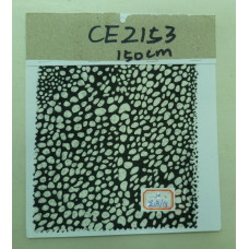 CE2153