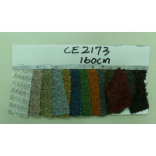 CE2173
