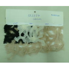 CE2224