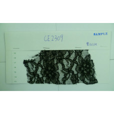 CE2309