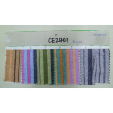 CE2401