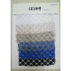 CE2419