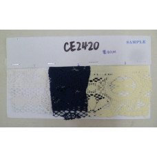 CE2420