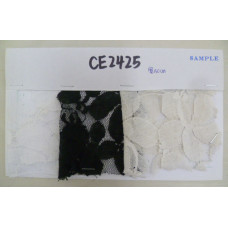 CE2425