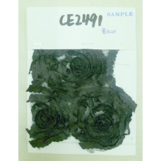 CE2491