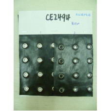 CE2494