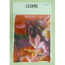 CE2495