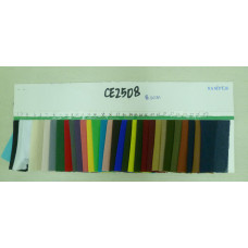 CE2508