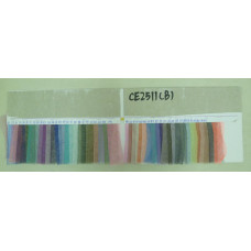 CE2511(B)