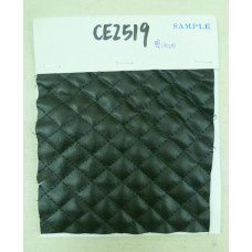 CE2519