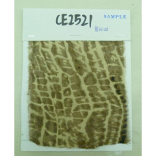CE2521