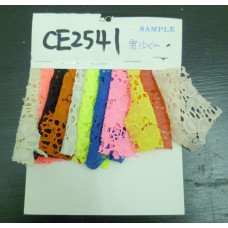 CE2541