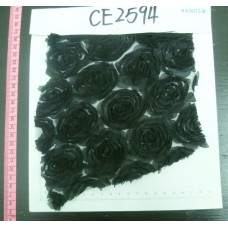 CE2594