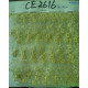CE2616