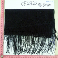 CE2820