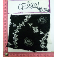 CE2821