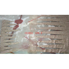 CE2851COL.2