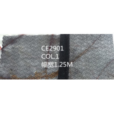 CE2901
