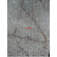 CE2920