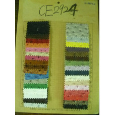 CE2924