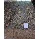CE2979COL.1