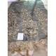CE2982COL.1