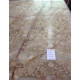 CE2982COL.2