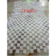 CE3002