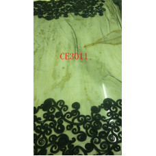 CE3011