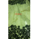 CE3011