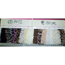 CE3012(2)