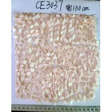 CE3037