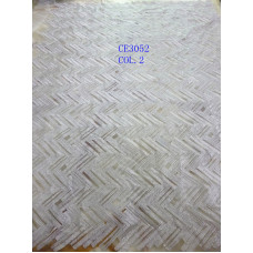 CE3052COL.2