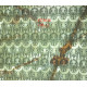 CE3056COL.2