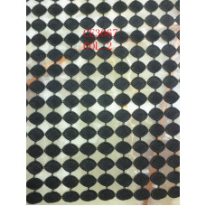 CE3067COL.2